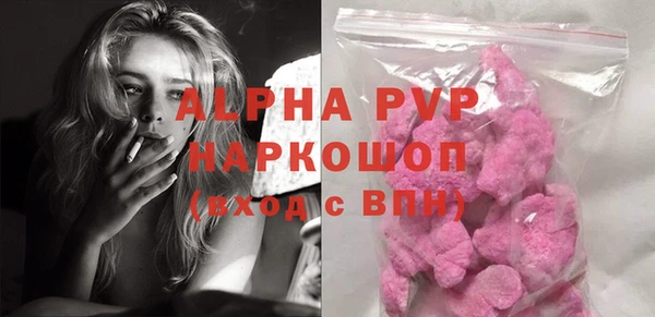 стаф Аркадак