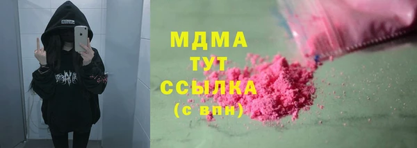 стаф Аркадак