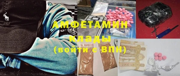 стаф Аркадак