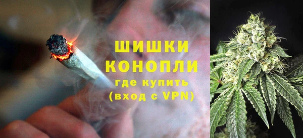 ПСИЛОЦИБИНОВЫЕ ГРИБЫ Армянск