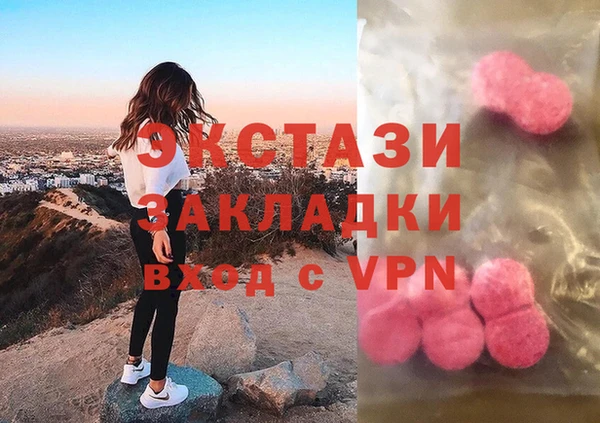 стаф Аркадак