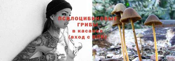 apvp Арсеньев