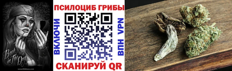 Галлюциногенные грибы прущие грибы  KRAKEN вход  Салаир 